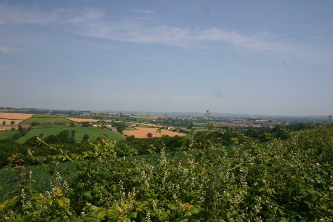 Countryside Near Exeter
